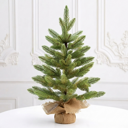 Sapin Compact Lykke - Duo
