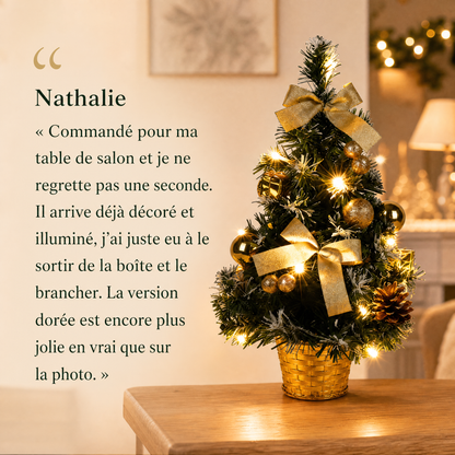 Mini Sapin LED Lillvik