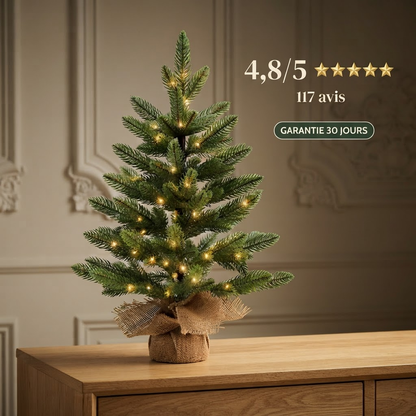 Sapin Compact Lykke