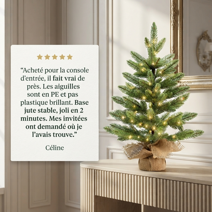 Sapin Compact Lykke